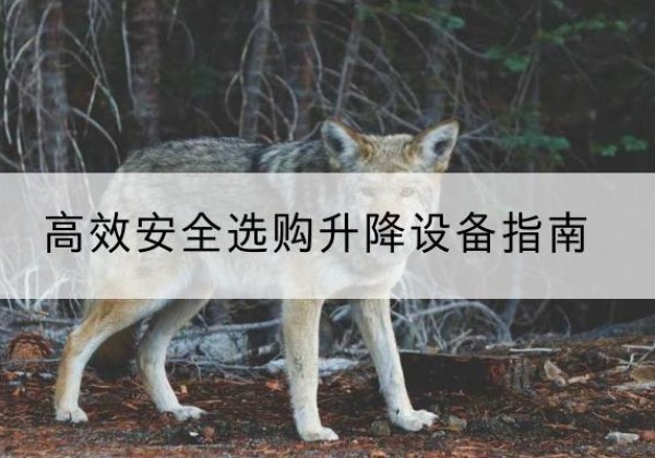 临沧升降货梯厂家推荐-*安全选购升降设备指南