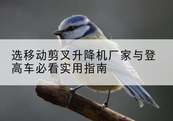 临沧电动升降机厂家-选移动剪叉升降机厂家与登高车必看实用指南