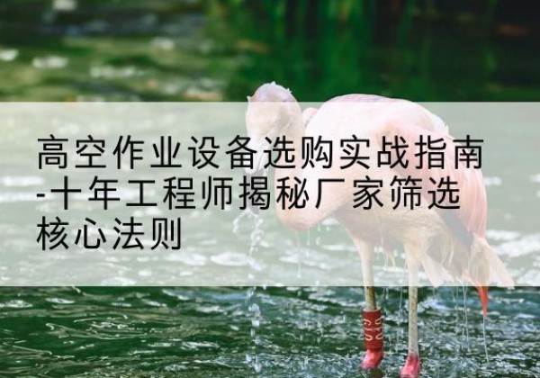 临沧剪叉式升降机厂家-高空作业设备选购实战指南-十年工程师揭秘厂家筛选核心法则